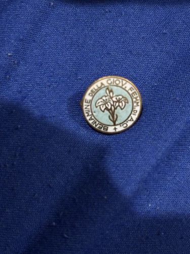 Distintivo azione cattolica - azione,