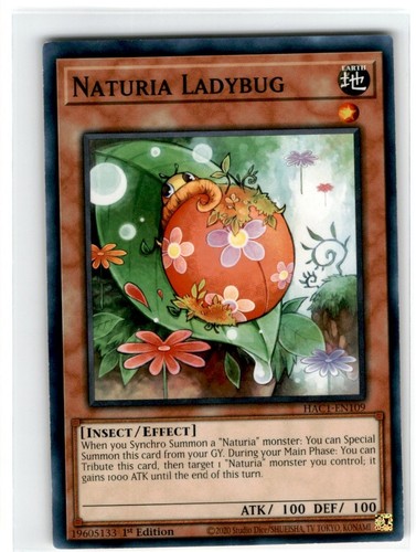 Naturia coccinella - naturia,
