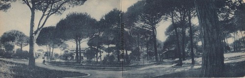 Fregene cartolina doppia - fregene:,