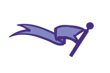 4x Playset MTG Magic the Gathering Set Completo di 4x4 Carte Alleanze a Scelta