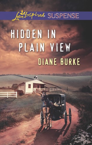 Hidden plain view love - hidden,
