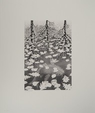 M.C. ESCHER: Autunno E Carpa, Facsimile Firmato, 2008, 450ex