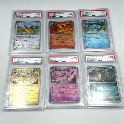 Eeveelutions numeri - 6,