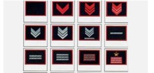Patch Gradi  Toppa Esercito Italiano Per Singolo Pezzo Italian Military