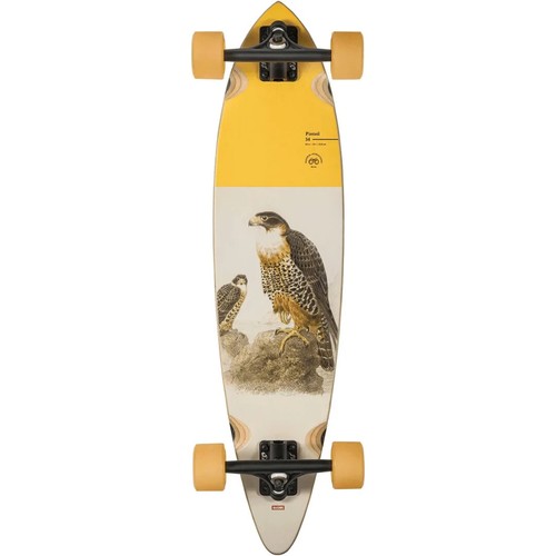Blemished globe brand - 34",