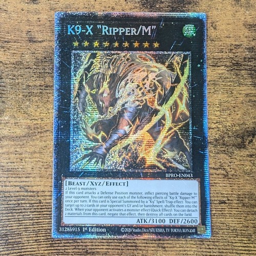 Burst protocol k9 x - burst,