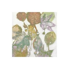 Stampa su Tela su Carta Poster o Quadro Carson Danielle Multi Colored Nature I