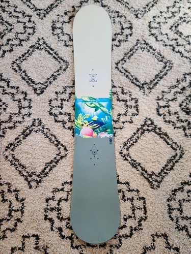 Burton custom 159 - burton, turtle