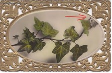 # FOGLIE D'EDERA IN OVALE IN