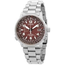Citizen Perpetual World Time