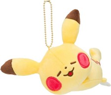 Pokemon Center mascotte