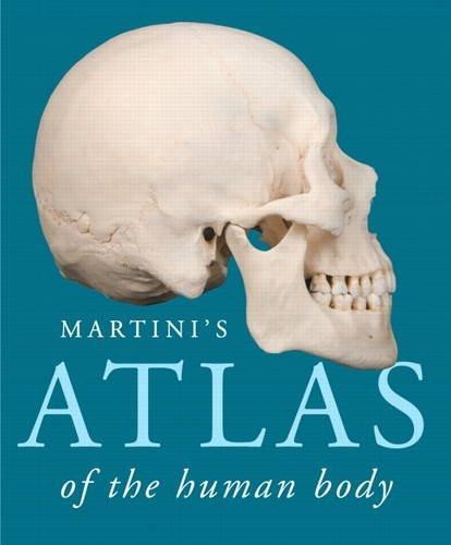 Martini atlas the - atlas,