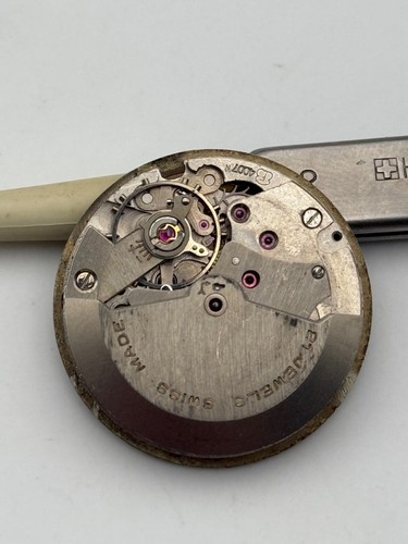 Guidus felsa 4007n - felsa, automatic