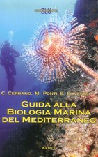 Libri Cerrano Carlo / Massimo