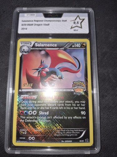 Salamence staff regional - salamence,