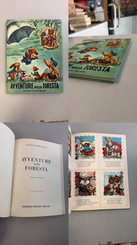Avventure nella foresta - avventure, con