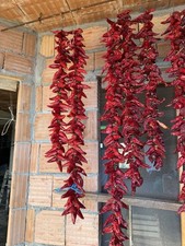 Pepe Treccia Collana Secco