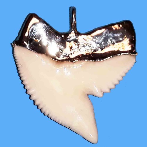 Ciondolo argento dente squalo - argento,