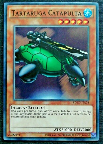 Tartaruga catapulta - tartaruga, in