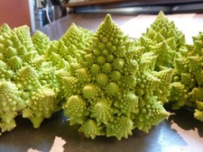 Cauliflower seёds, 0,5g