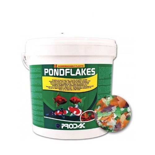 Mangime pesci laghetto - pesci, pond