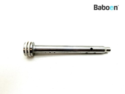 Forcella anteriore
