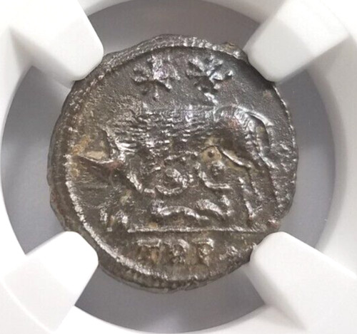 Gemelli lupo costantiniani ngc - gemelli,