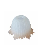 VETRO COPPA RICAMBIO