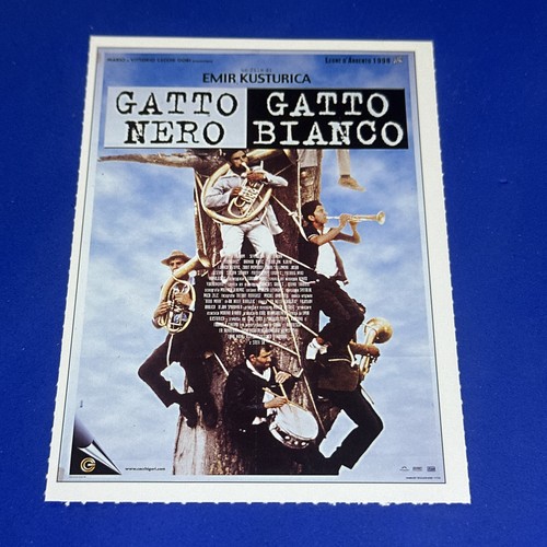 Gatto nero - ,, bianco