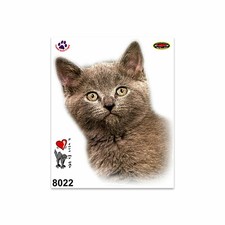 Adesivi stickers gatto - adesivi,