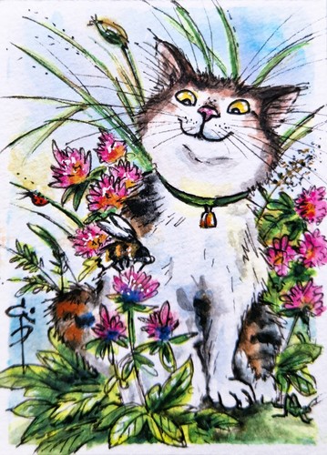 Quadro gatto aceo - gatto, ape