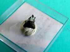 Shannonite, miniera di Tonopah-Belmont, Maricopa Co., Arizona, USA, MM, (a170)