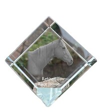 Cavallo da corsa in pensione