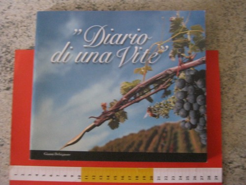 Italia libro book vercelli - italia,