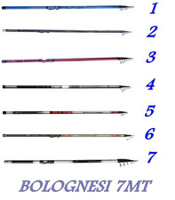 Canna bolognese 7mt - bolognese, carbonio