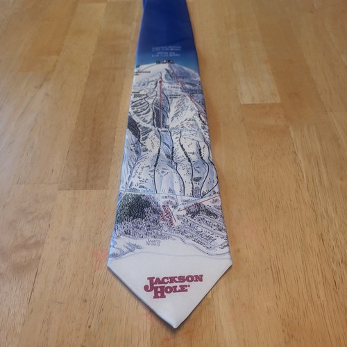 Cravatta vintage y2k jacson - vintage,