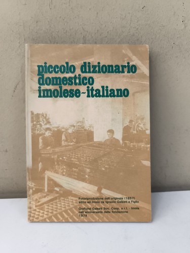 Piccolo dizionario domestico - dizionario,