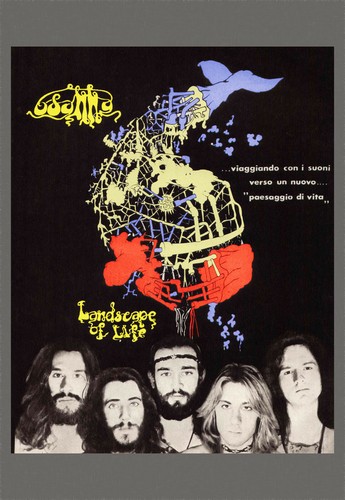 Poster osanna landscape - poster,