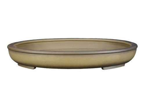 Vaso per bonsai ovale - , in