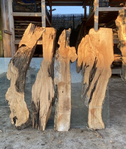 Tavolette legno ulivo 4 - di,