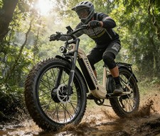 2000W Biciclette elettriche 26