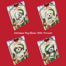 Calamita frigo foto animale