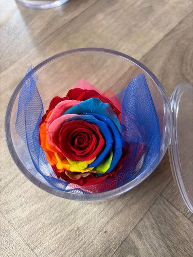 Rosa stabilizzata vaso cubo - rosa, in