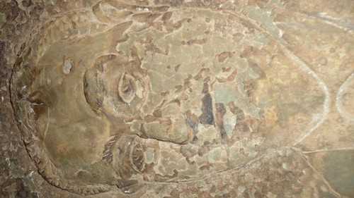 Opera scolpita sul sughero - scolpita,