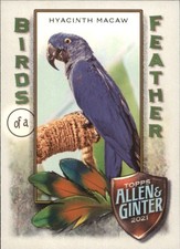 2021 Topps Allen & Ginter #BOF-6 Giacinto Ara Uccellini di piuma