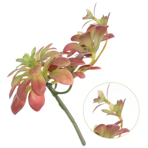Decorazioni piante - piante, da