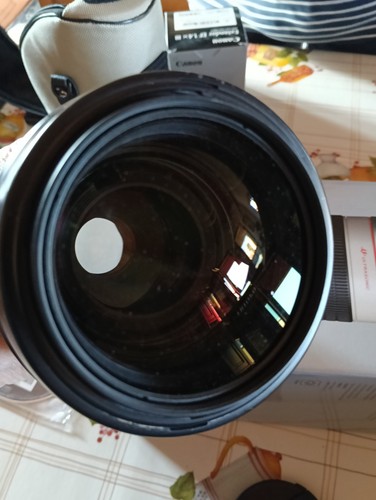 Canon 200mm 2 8l usm - ef, 70-200mm