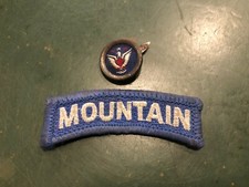 Stemma+spilla American U.S. Army Mountain Division patch badge riproduzione