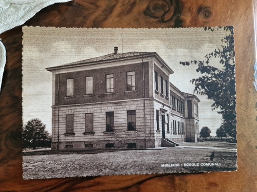 Cartolina migliaro scuole - cartolina,