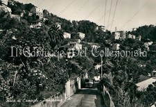 1958 RUTA DI CAMOGLI Panorama